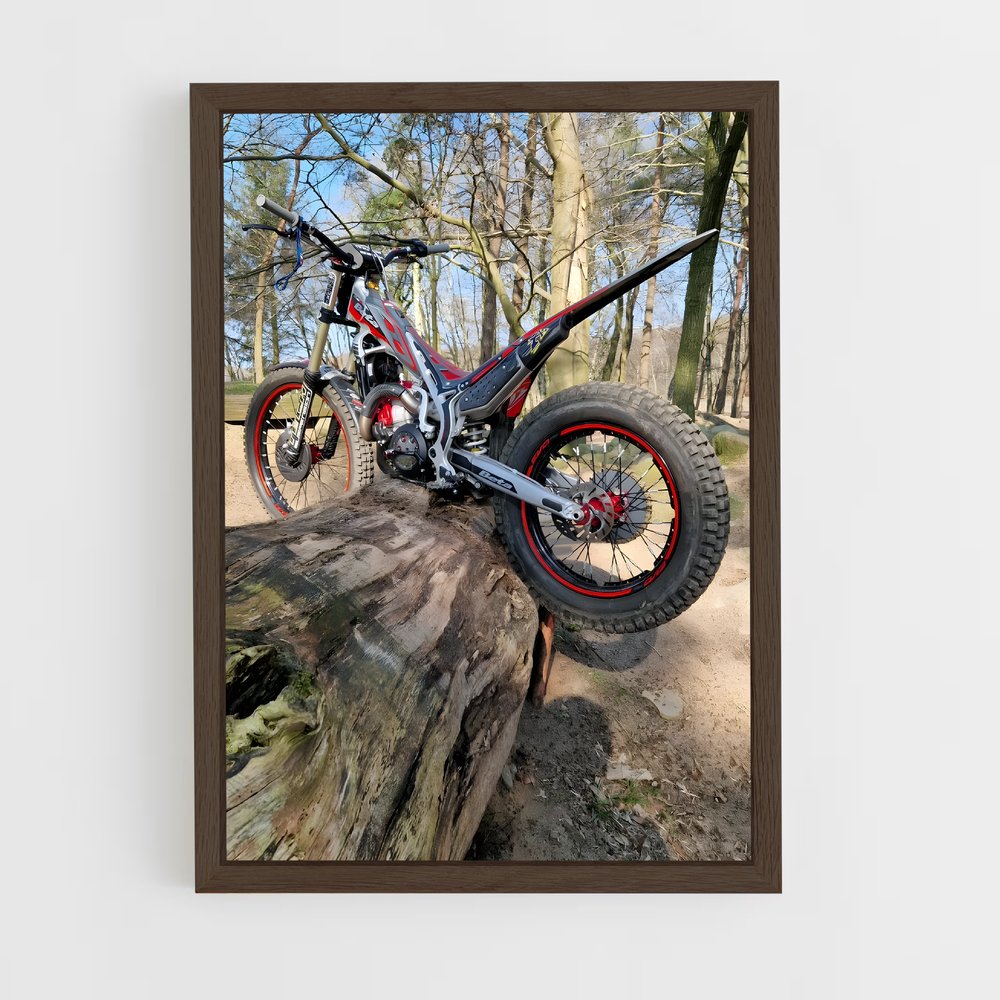Poster Nature Ride – affiche Beta (vue 5)
